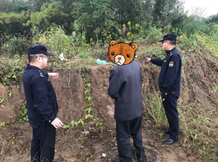 12.png